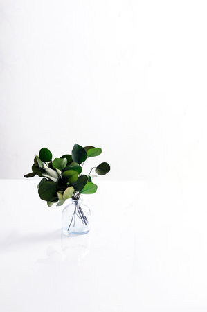 A glass vase with a bouquet of evergreen tree stands on a light background. Side view.の写真素材