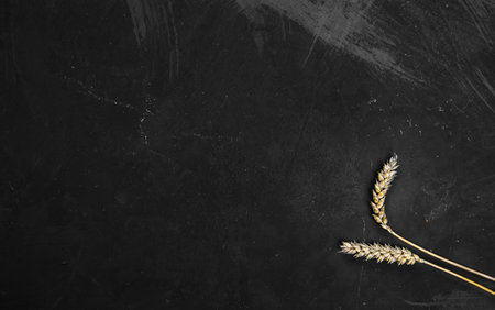 Cereal ears. Wheat and rye ears. View from aboveの写真素材