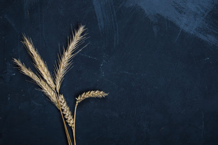Cereal ears. Wheat and rye ears. View from aboveの写真素材