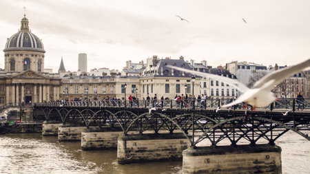 View of the island of Cite in Paris. Palace, bridge, seagulls.のeditorial素材