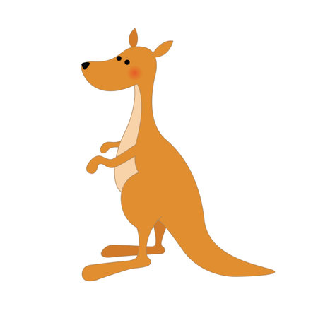 cute kangaroo, isolated on a white backgroundのイラスト素材
