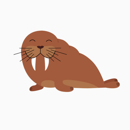 cartoon funny walrus on a white backgroundのイラスト素材
