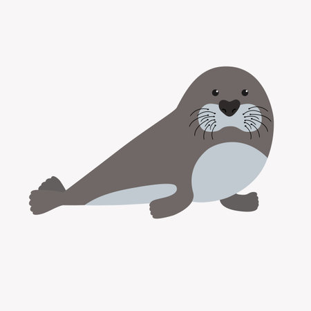 animal seal isolated on white background illustrationのイラスト素材