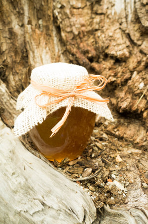 the Bank of natural honey in the hollow