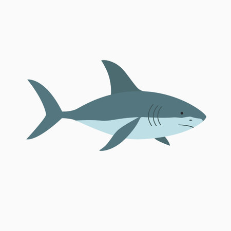 illustration shark isolated on white backgroundのイラスト素材