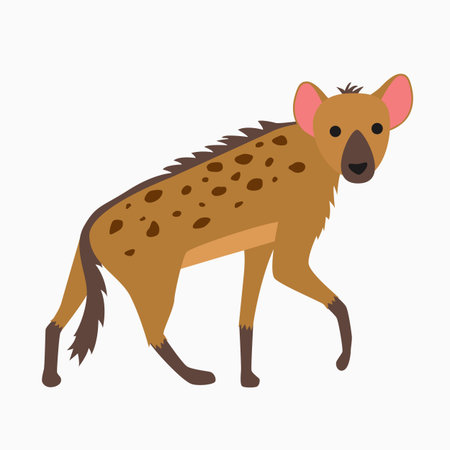 Cartoon funny hyena walking isolated on white backgroundのイラスト素材