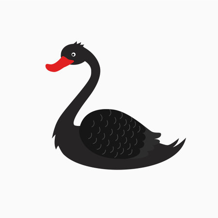 Black swan cartoon vector illustration isolated on white backgroundのイラスト素材