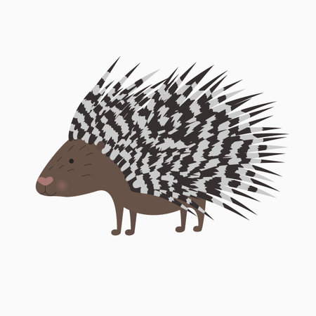 vector bristling porcupine on white background illustration for the childrenのイラスト素材