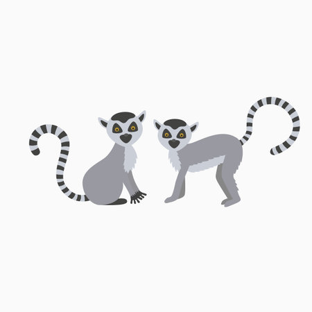 two wild lemur on white background. one sits the other stands. illustration for childrenのイラスト素材