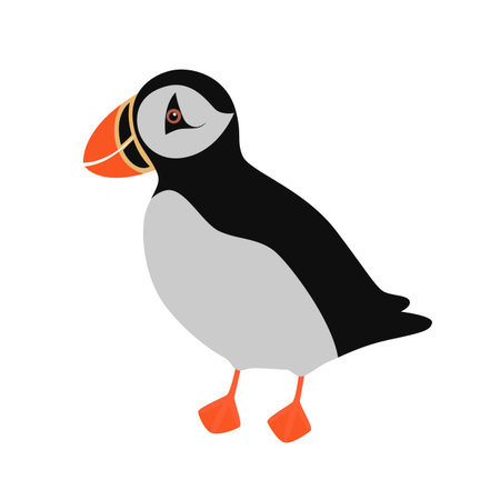 Atlantic Puffin isolated on white background. Vector illustration for childrenのイラスト素材