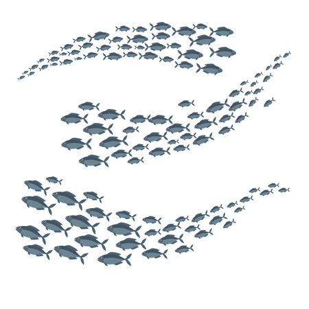 Shoal of sea fish swimming in group underwater in the ocean.のイラスト素材