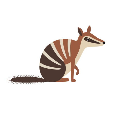 Numbat animal cartoon characterのイラスト素材