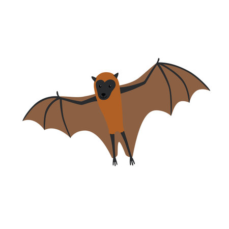 flying Fox vector illustration for children