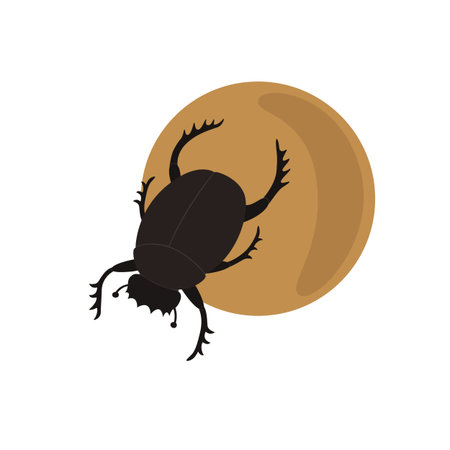Scarab on a ballのイラスト素材