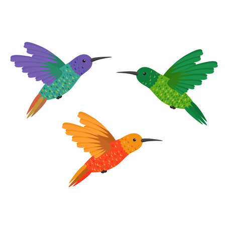 Set three small colorful bird hummingbirdのイラスト素材