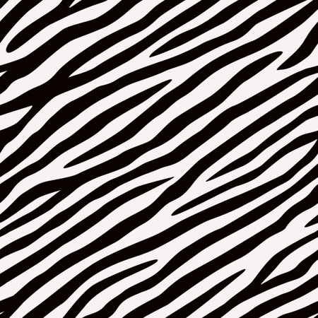 Seamless pattern Zebra. Black and white colors.のイラスト素材