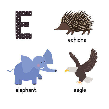 ABC letter E funny kid icons set: eagle, echidna, elephant.のイラスト素材