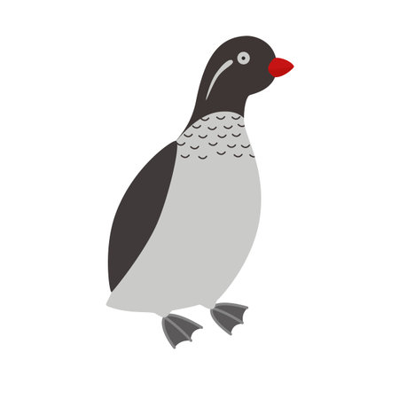 Illustration of a parakeet auklet birdのイラスト素材