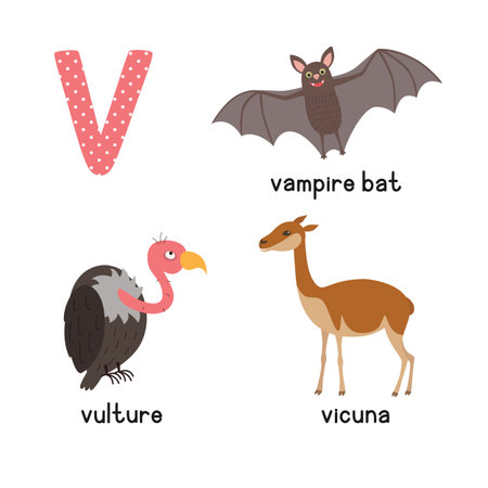 Cute Animal Zoo Alphabet. Letter V for vulture, vicuna, vampire bat. Fun teaching aids for Kidsのイラスト素材