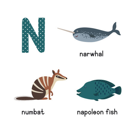 Letter N. Cartoon alphabet for children. vector illustration animal numbat, narwhal, napoleon fishのイラスト素材