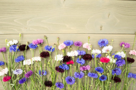 colorful cornflowers on wooden background.の写真素材
