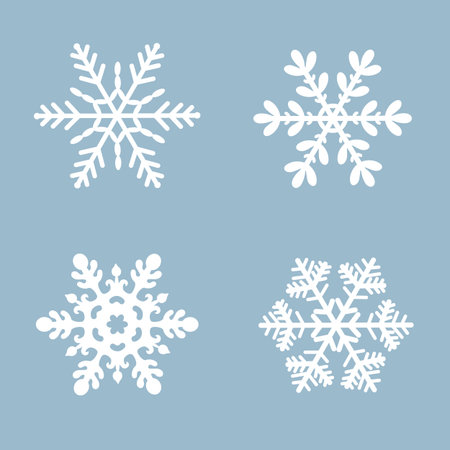 Snowflake vector icon background set white color. Winter blue christmas snow flat crystal element.のイラスト素材