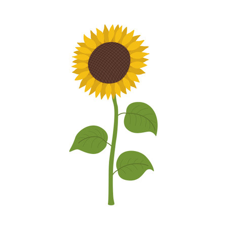 Sunflower icon cartoon.のイラスト素材