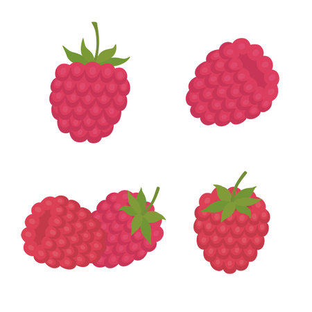 Sweet berry a raspberryのイラスト素材