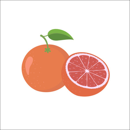Whole and half unpeeled ripe pink grapefruit, sketch style vector illustration on white background.のイラスト素材
