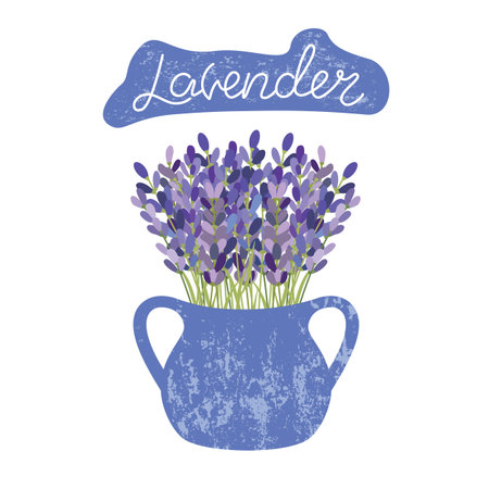 Lavender flowers in a vase. Lettering lavenderのイラスト素材