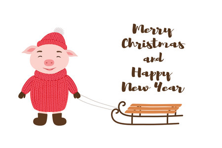 Cute pig in winter clothing with sledges. Vector illustration for Christmas and new year cardsのイラスト素材