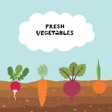 Fresh organic vegetable garden on blue sky background. Set vegetables plant growing underground carrot, onion, radish, beet.のイラスト素材