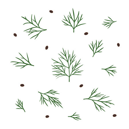 Hand drawn dill isolated. Template for your design works. Vector illustration on white isolated backgroundのイラスト素材
