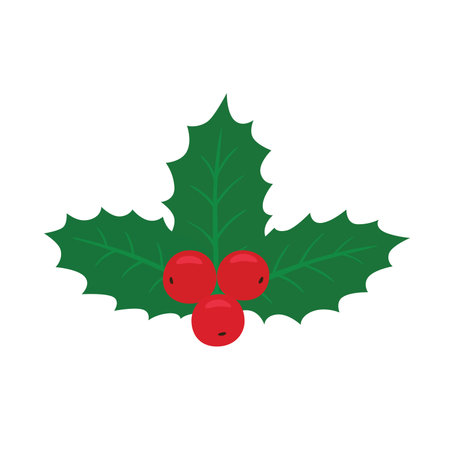 A Christmas holly berry mistletoe a plant that grows on a range of trees including willow apple and oak trees with red berries and broad green leavesのイラスト素材