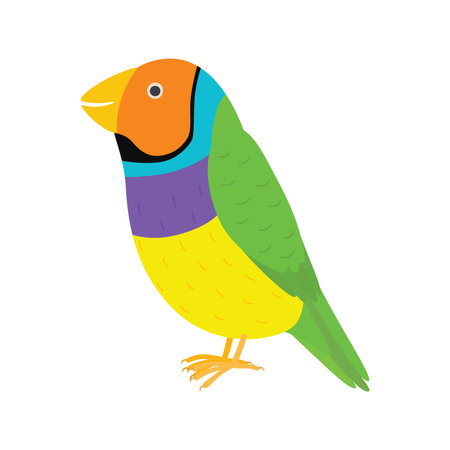 Amadina finch gouldian finch, erythrura gouldiae bird. Yellow beautiful exotic bird.のイラスト素材