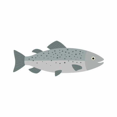 Salmon fish. Vector illustration isolated on white background.のイラスト素材