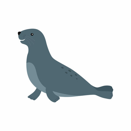 Sealion. Vector illustration isolated on white background.のイラスト素材