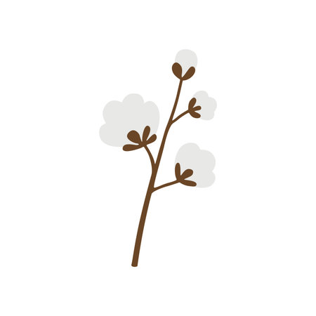 Cotton. A white cotton box. Cotton wool. The ripe fruit of a cotton plant.のイラスト素材