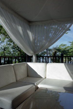 Cozy tropical space のeditorial素材