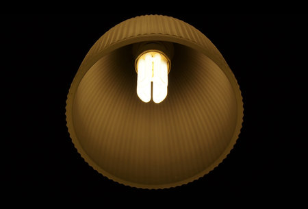 Lighting from Ceiling lamp 