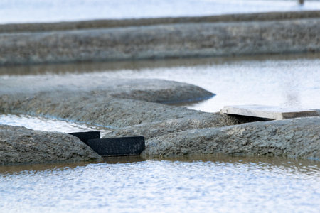 salt marshesの写真素材