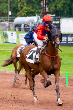 horse racing hippodrome of feursのeditorial素材