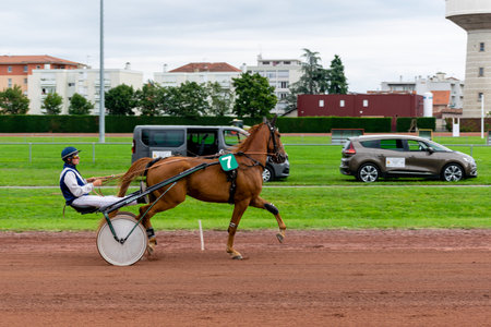 horse racing hippodrome of feurs