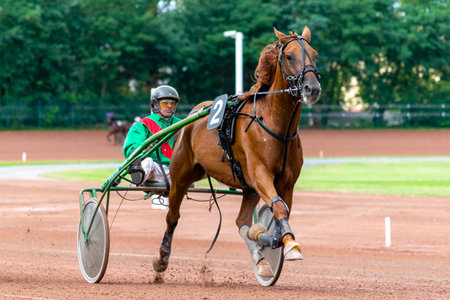 horse racing hippodrome of feursのeditorial素材