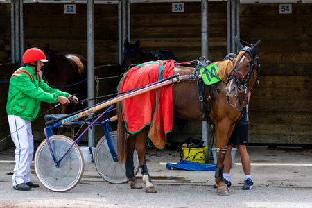 horse racing hippodrome of feurs