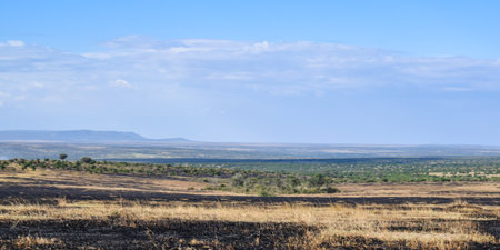Kenya: landscape of maasai mara park