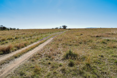 Kenya: landscape of maasai mara parkの写真素材