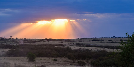 Kenya: sunset on the savannahの写真素材