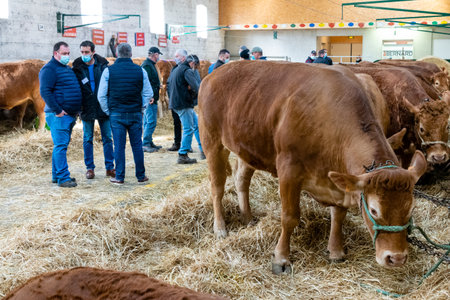 agricultural show of feurs, meat marketのeditorial素材
