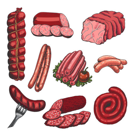 Vector set of different meat products in sketch style. Sausage, ham, bacon, lard. Vector illustration for your designのイラスト素材